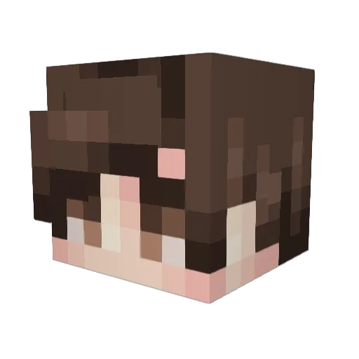 Bear1123 Minecraft avatar head, 3D render