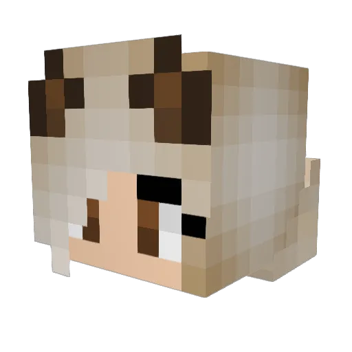 Bear171203 Minecraft avatar head, 3D render