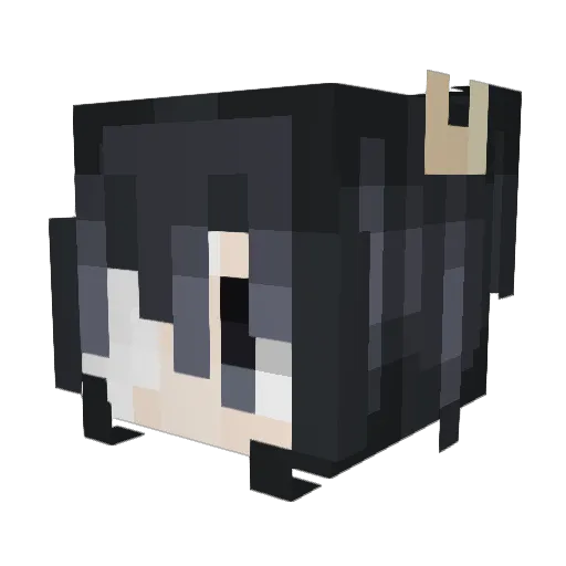 Bear27300 Minecraft avatar head, 3D render
