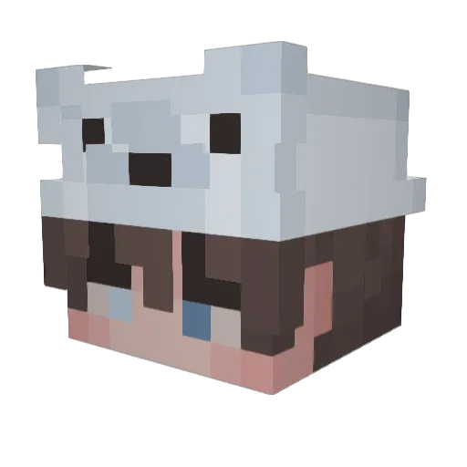 Bear34_ Minecraft avatar head, 3D render