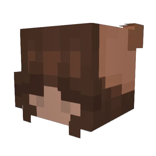 Bear36Y Minecraft avatar head, 3D render