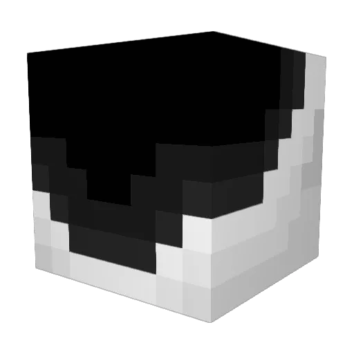 Bear6611 Minecraft avatar head, 3D render
