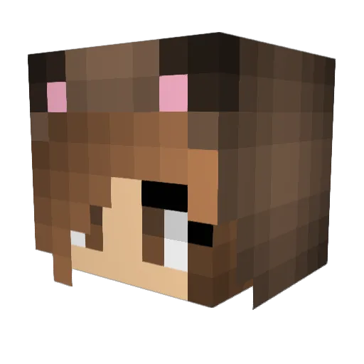 BearBear229 Minecraft avatar head, 3D render