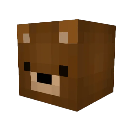 BearBear_Gaming Minecraft avatar head, 3D render