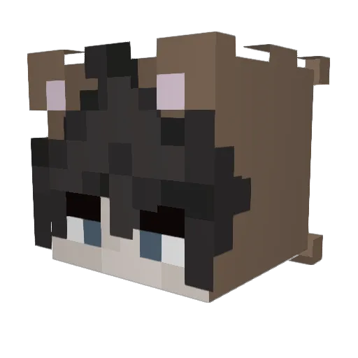 BearBearsons Minecraft avatar head, 3D render