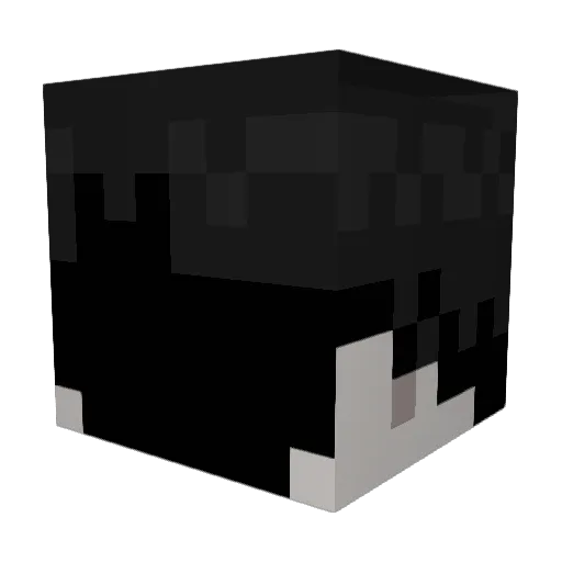 BearBite999 Minecraft avatar head, 3D render