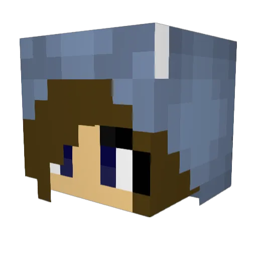 BearBottle121 Minecraft avatar head, 3D render