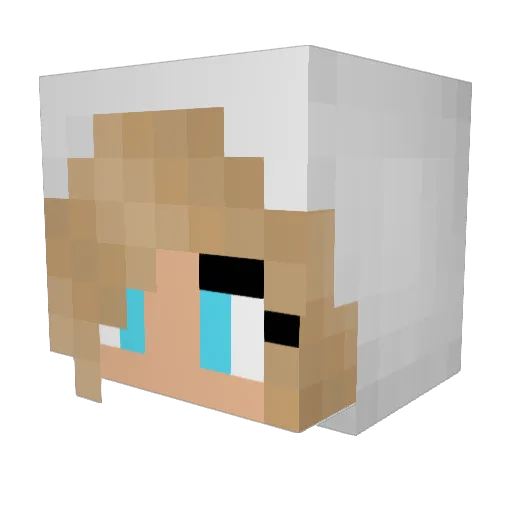 BearCookies Minecraft avatar head, 3D render