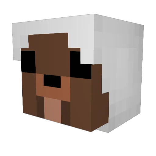 BearDickPunch Minecraft avatar head, 3D render