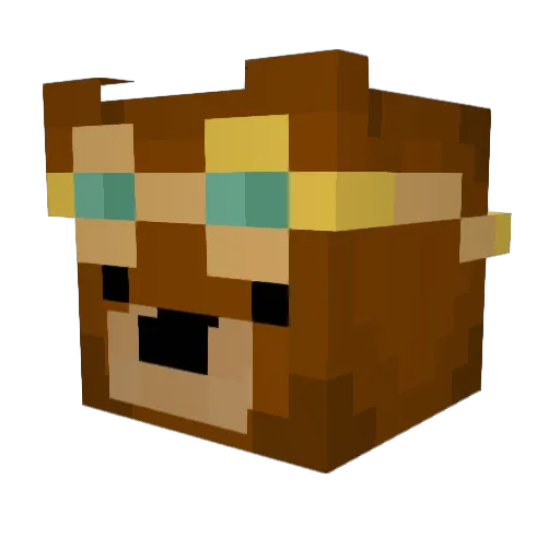 BearHntr Minecraft avatar head, 3D render