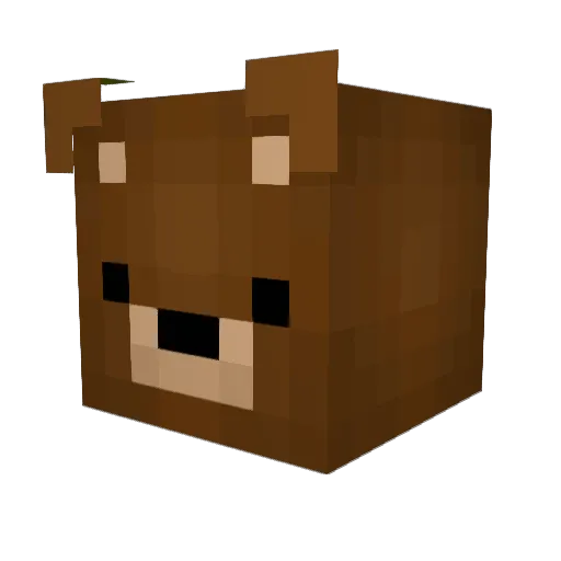 BearKnowsBest Minecraft avatar head, 3D render
