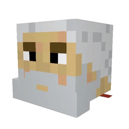 BearLord1000 Minecraft avatar head, 3D render