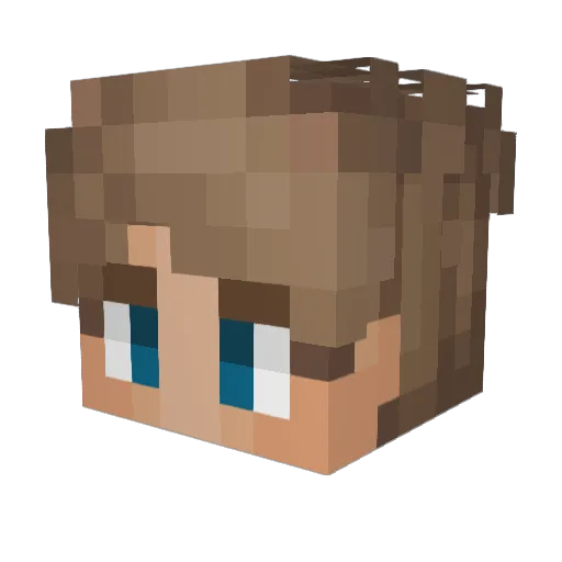 BearMinecrafts Minecraft avatar head, 3D render