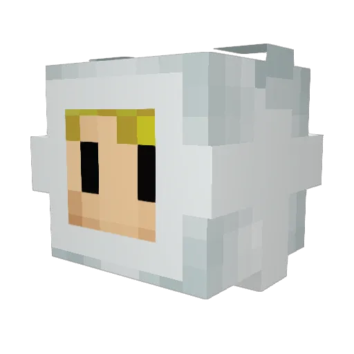 BearMoans Minecraft avatar head, 3D render