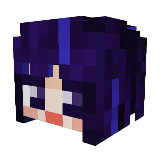 BearTeaj Minecraft avatar head, 3D render