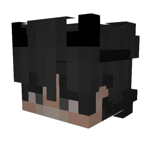 Bear_505 Minecraft avatar head, 3D render