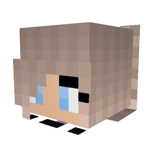 Bear_Claire Minecraft avatar head, 3D render