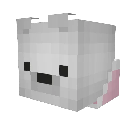 Bear_Kiki Minecraft avatar head, 3D render