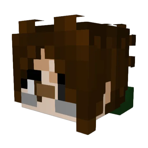 Bear_berries Minecraft avatar head, 3D render