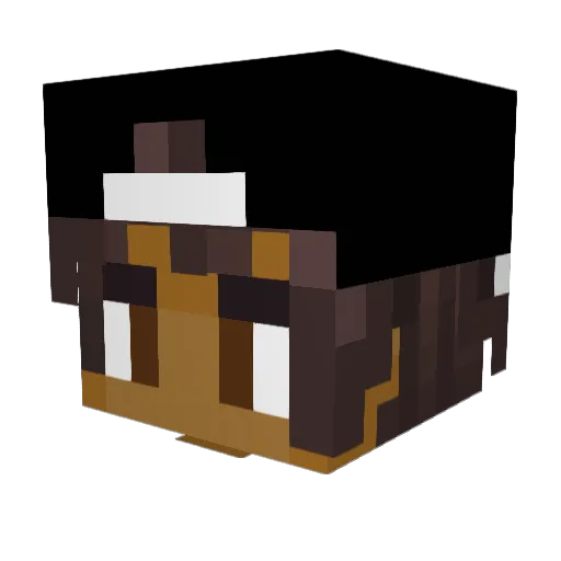 Bearayl Minecraft avatar head, 3D render