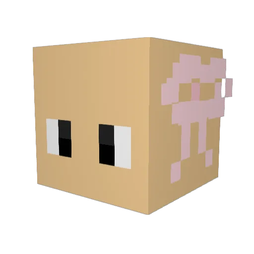 Bearbloc Minecraft avatar head, 3D render
