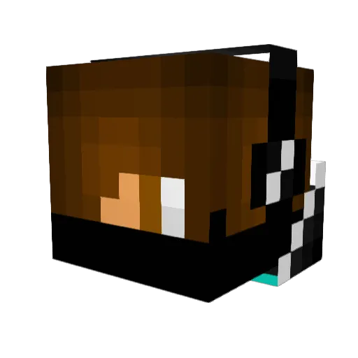 Bearboy285 Minecraft avatar head, 3D render