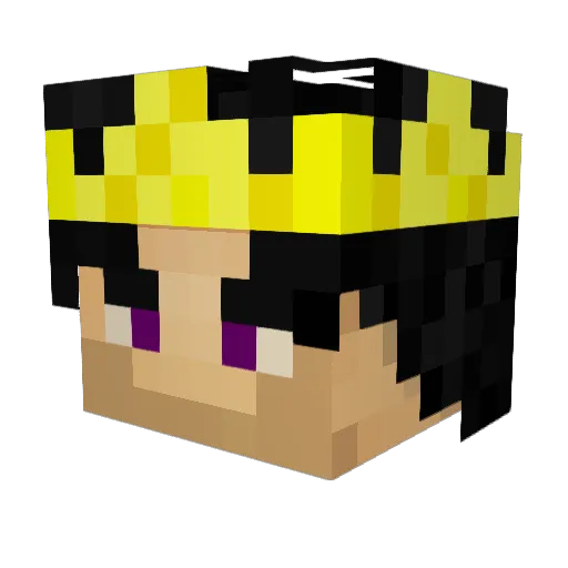 BeardedRogue Minecraft avatar head, 3D render