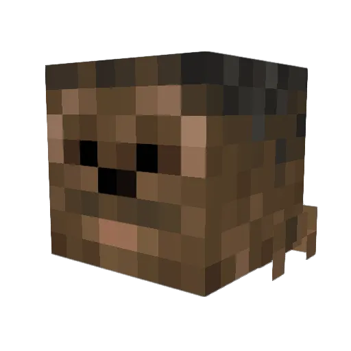BeardifulWookie Minecraft avatar head, 3D render