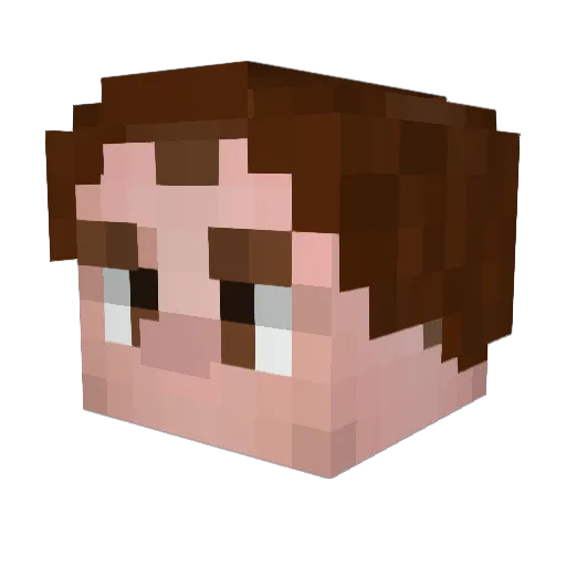 BeardyWilly Minecraft avatar head, 3D render