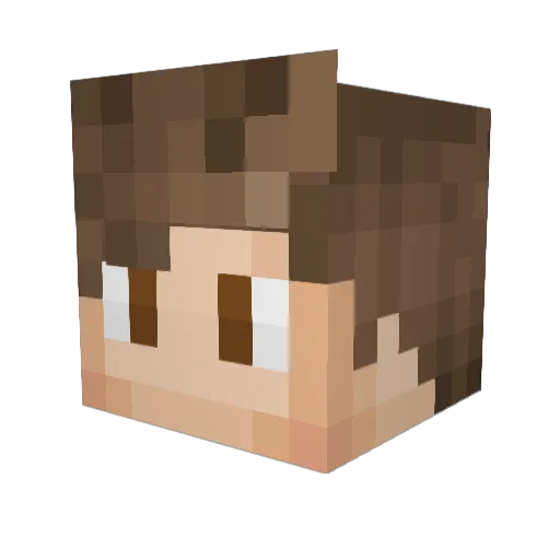 Bearel54 Minecraft avatar head, 3D render