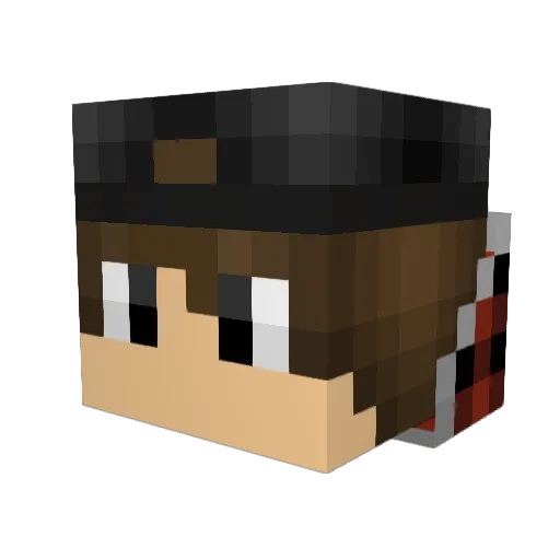 Bearex09 Minecraft avatar head, 3D render