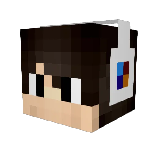 Bearfeaver_YT Minecraft avatar head, 3D render
