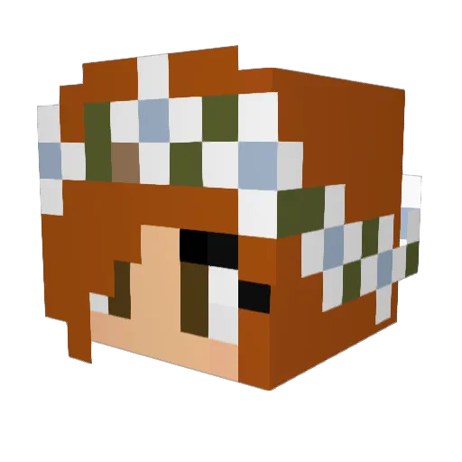 Bearfluff9996 Minecraft avatar head, 3D render