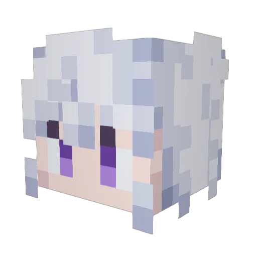 Bearhead1014 Minecraft avatar head, 3D render