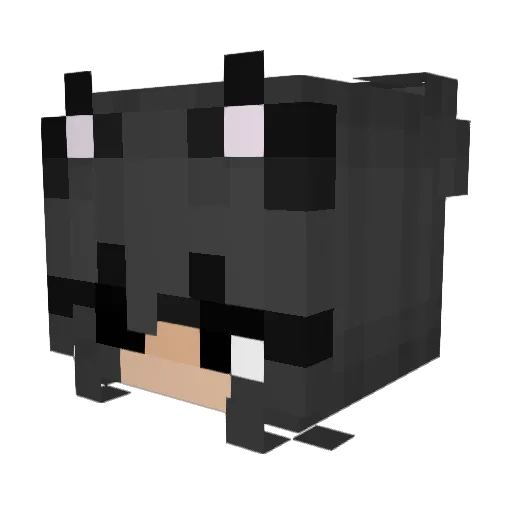 Bearhitt Minecraft avatar head, 3D render