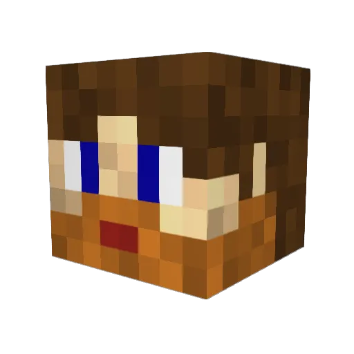Bearman666 Minecraft avatar head, 3D render