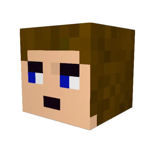 Bearnais Minecraft avatar head, 3D render