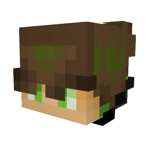Bearnotrare Minecraft avatar head, 3D render