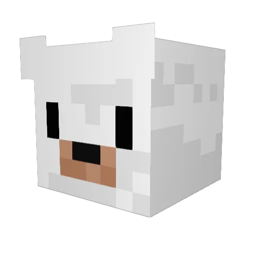 Bearpaws28 Minecraft avatar head, 3D render