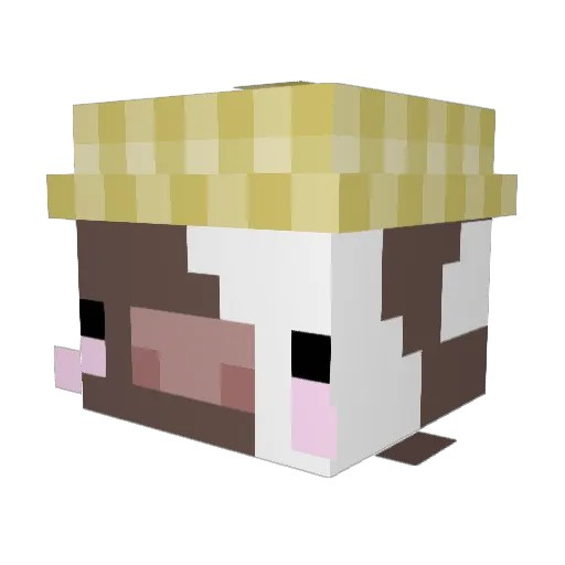 Bearpool Minecraft avatar head, 3D render