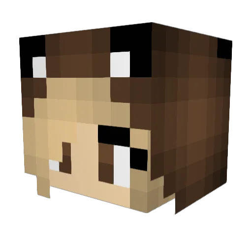 BearsFriend Minecraft avatar head, 3D render