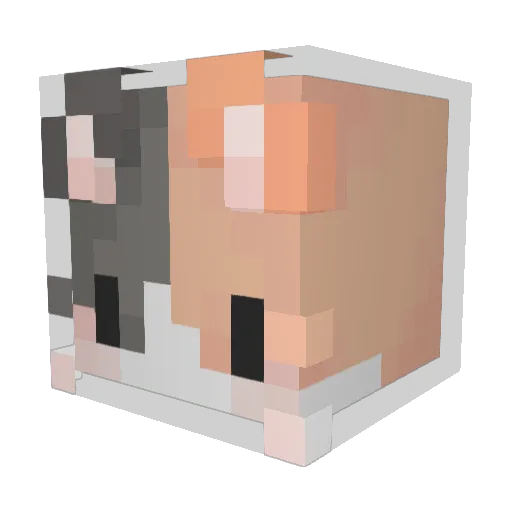 Bearshard1 Minecraft avatar head, 3D render
