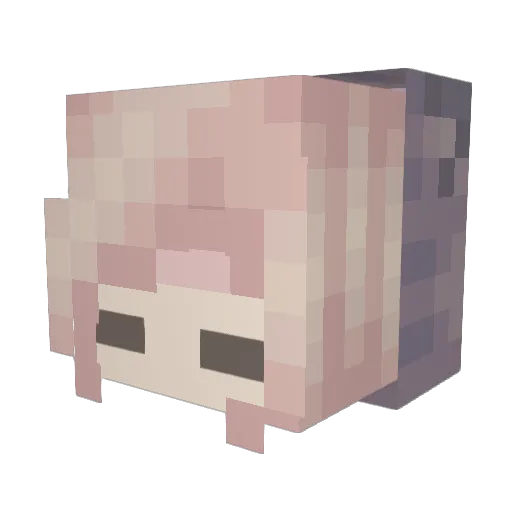 BearyPin Minecraft avatar head, 3D render
