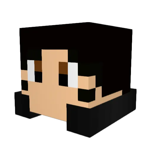 BearyPlayz Minecraft avatar head, 3D render