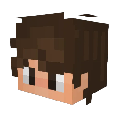 Bearz__z Minecraft avatar head, 3D render