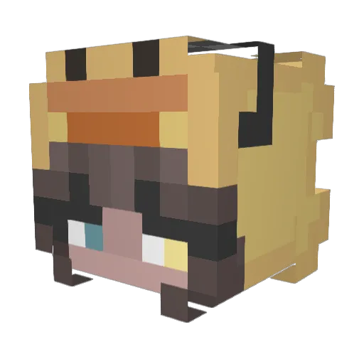 Beast4ever12 Minecraft avatar head, 3D render