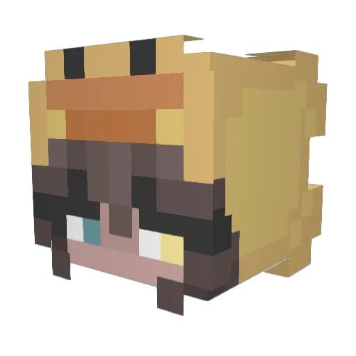 Beast4ever21 Minecraft avatar head, 3D render