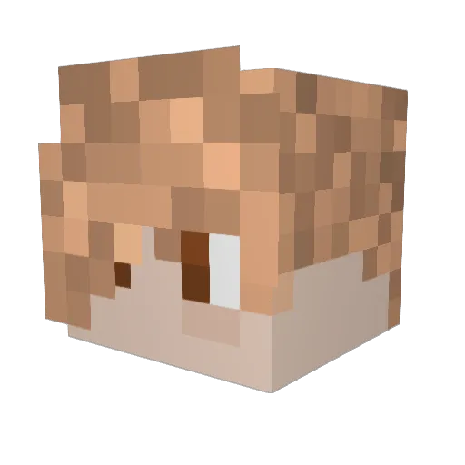 BeastBlaine Minecraft avatar head, 3D render