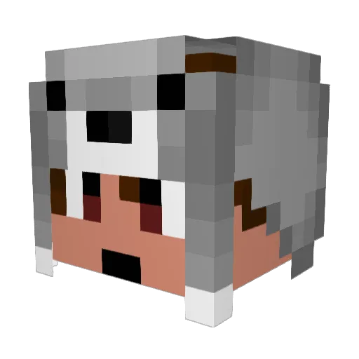 BeastDarkey Minecraft avatar head, 3D render