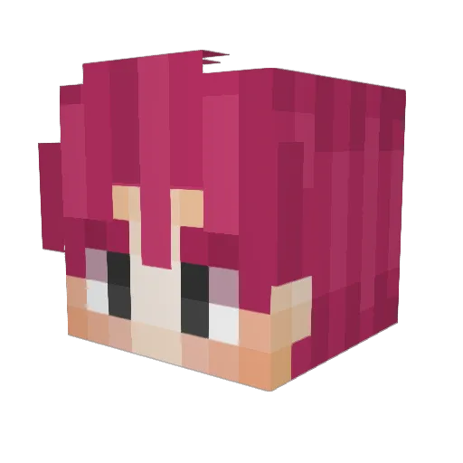BeastDonkses Minecraft avatar head, 3D render